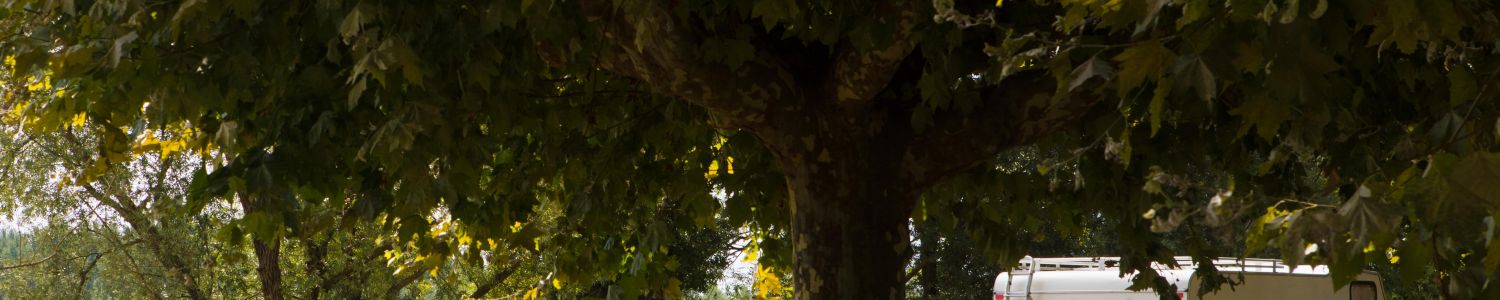 Spacieux emplacement  emplacement sans éléctricité