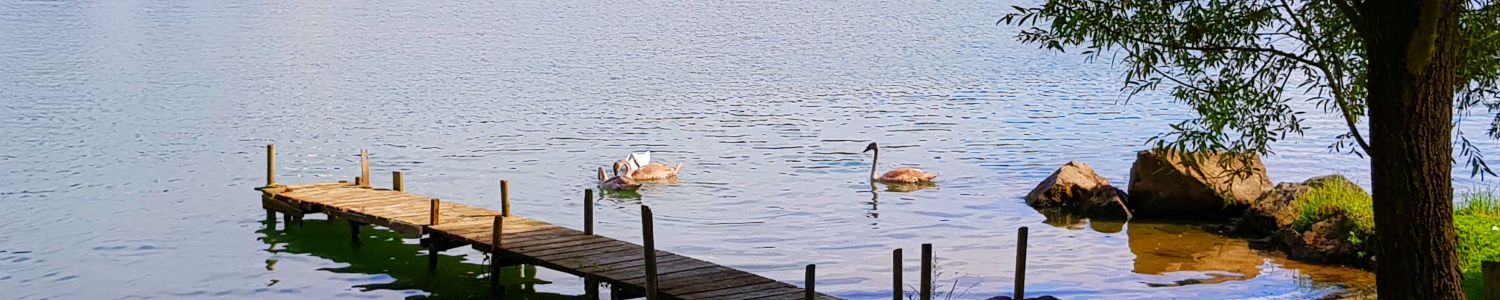 emplacement-tente-camping-car-caravane-macon spacieux emplacements en bord de saone