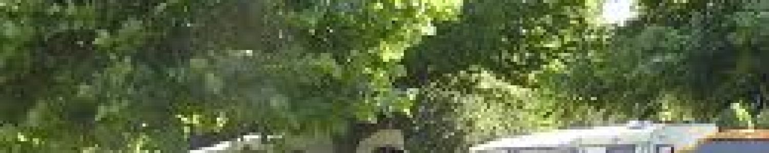 Emplacements en bord de saone Emplacement ombragé et en bord de Saone