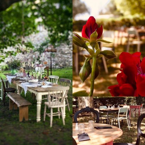 Les plus terrasses en bord de saone