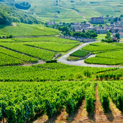 Camping proche du vignoble bourguignon Camping en Bourgogne du Sud