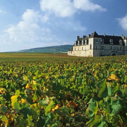 Camping près de Macon, au coeur de la Bourgogne Camping bien placé pour visiter la bourgogne